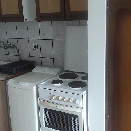 Apartmani Za Exit 2024 Petrovaradin Eksteriør billede