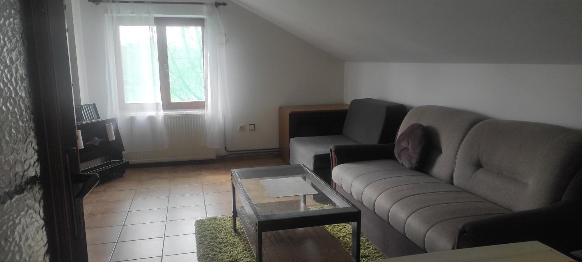 Apartmani Za Exit 2024 Petrovaradin Eksteriør billede