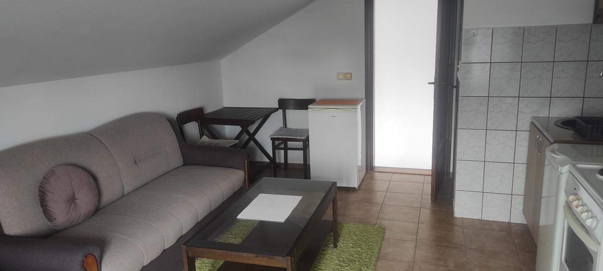 Apartmani Za Exit 2024 Petrovaradin Eksteriør billede